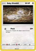 Baby Shoebill