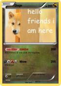 Doge