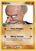 Mr.Burns