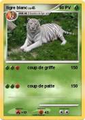 tigre blanc
