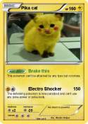 Pika cat