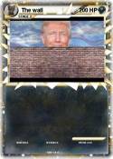 The wall