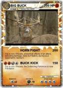 BIG BUCK