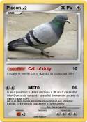 Pigeon