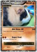 Guinea Pig