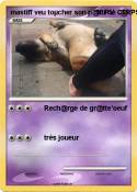 mastiff veu toµ