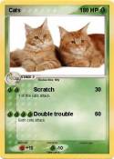 Cats