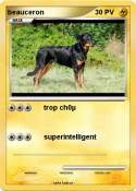 beauceron