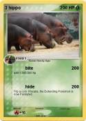 3 hippo