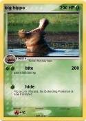 big hippo
