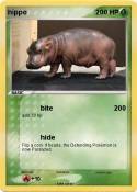 hippo