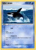 killer whale