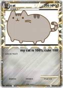 cat