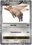 Flying pig