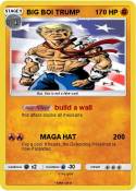 BIG BOI TRUMP