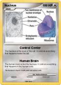 Nucleus