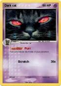 Dark cat