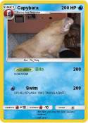 Capybara