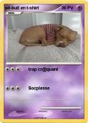 pit-bull en t-s