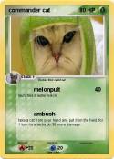 commander cat