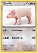 Pig