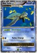 Sea Turtle