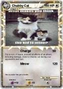 Chubby Cat