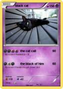 black cat