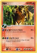tigre