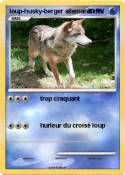 loup-husky-berger