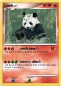 panda