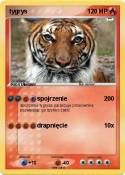 tygrys