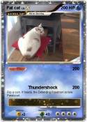 Fat cat