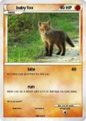 baby fox