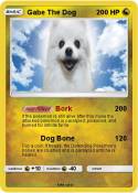 Gabe The Dog