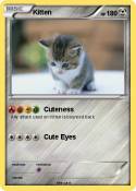 Kitten