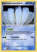 Euplectella