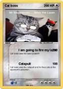 Cat boss