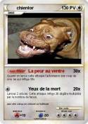 chientor