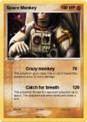Space Monkey