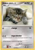 chaton mimi