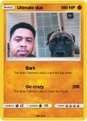 Ultimate duo