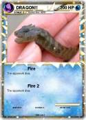 DRAGON!!