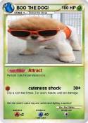BOO THE DOG!