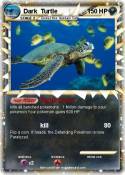 Dark Turtle