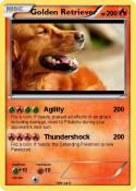 Golden Retrieve