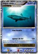 requin white