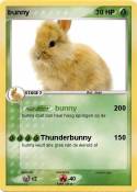 bunny