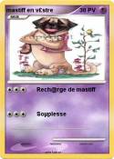 mastiff en v£st