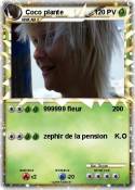 Coco plante